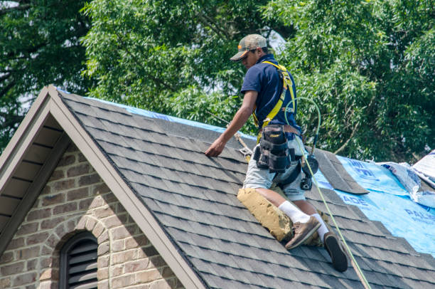 Best Roof Waterproofing Services  in Oakwood, PA
